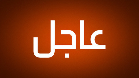 الأسد يبحث مع رئيس الإمارات التطورات الأخيرة في سوريا