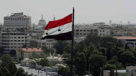 سوريا تطلع مصر على تطورات الأوضاع شمال البلاد