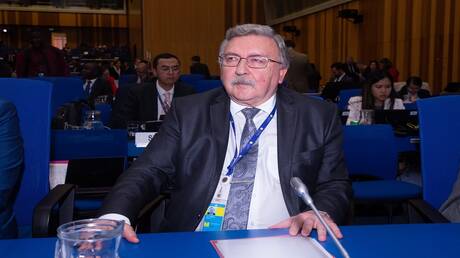 ممثل روسيا: منظمة حظر الأسلحة الكيميائية ستنظر في شكوى حول استخدام أوكرانيا أسلحة محظورة